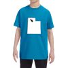 Youth 5.3 oz. T-Shirt Thumbnail