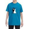 Youth 5.3 oz. T-Shirt Thumbnail