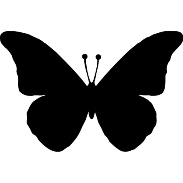 Butterfly Thumbnail